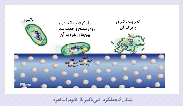 عملکرد ضد باکتری نانو ذرات نقره