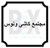 مجتمع کاشی ونوس